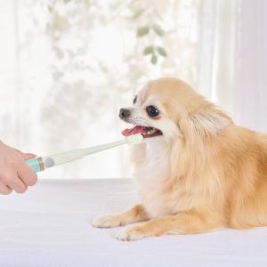 超音波歯ブラシ BOOOOMプロ 2本セット・替えブラシ