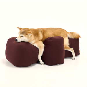 リラクッション 本体＋カバーセット・Ｍ