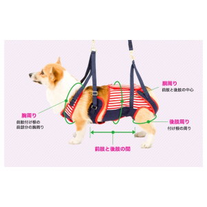 ※画像の色柄は販売しておりません。