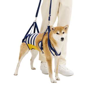 柴犬も着用できます。