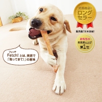 フェッチ