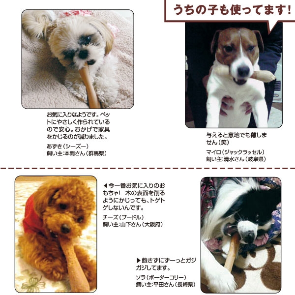 フェッチ 犬用おもちゃ ペット用品の通販サイト ペピイ Peppy
