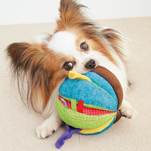 サーカスボール 犬用おもちゃ ペット用品の通販サイト ペピイ Peppy