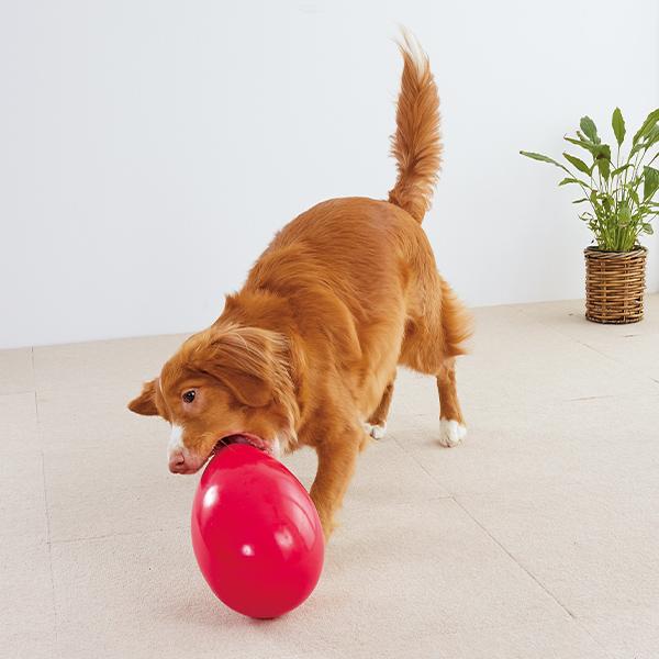 メガエッグ 犬用おもちゃ ペット用品の通販サイト ペピイ Peppy