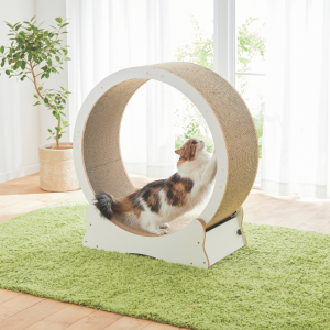 キャットホイール 本体