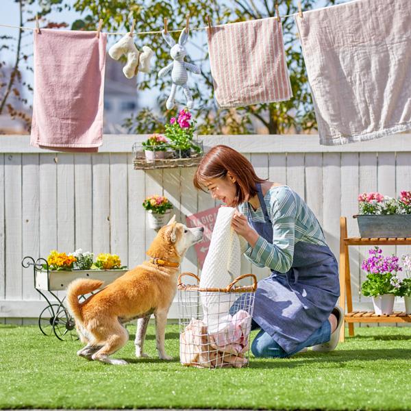 ランドリーきらら ペット専用洗濯洗剤 掃除用品 除菌 消臭剤 ペット用品の通販サイト ペピイ Peppy ランドリーきらら ペット専用洗濯洗剤 掃除用品 除菌 消臭剤 ペット用品の通販サイト ペピイ Peppy