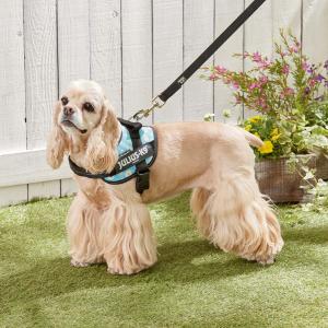 ��ꥦ���ˣ� �ɣģåѥ�ϡ��ͥ� �������������������