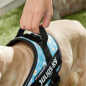 ユリウスK9 IDCパワーハーネス｜飼主様向け商品（卸販売）｜動物