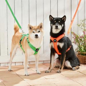 ハクサン コンフォートゼロハーネス｜飼主様向け商品（卸販売）｜動物