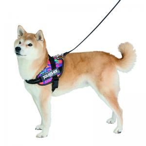 犬 ハーネス ユリウス k9 0」の人気商品一覧 | 安い商品を通販サイト