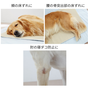 エクスジェルマット (犬 床ずれ予防)｜飼主様向け商品（卸販売）｜動物