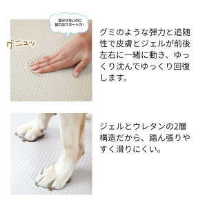 エクスジェルマット (犬 床ずれ予防)｜飼主様向け商品（卸販売）｜動物