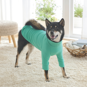 【マンダリンブラザーズ】スキンタイトウォームＴシャツ ミント・５Ｌ