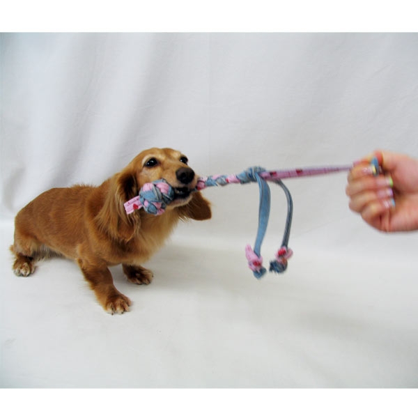 サヨ デンタルジーンズ デニム生地の犬用おもちゃ 犬用おもちゃ ペット用品の通販サイト ペピイ Peppy