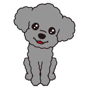 プードル(シルバー)