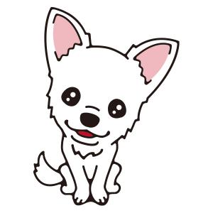 チワワ(クリーム)