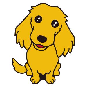 ダックス(クリーム)