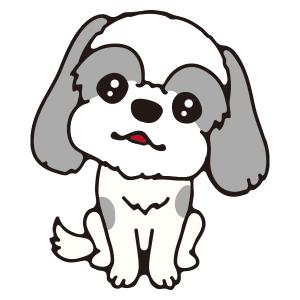 シーズー(グレー)