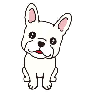 フレンチブル(クリーム)