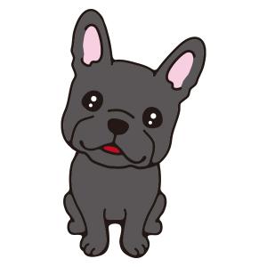 フレンチブル(ブラック)