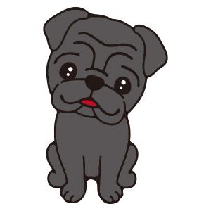 パグ(ブラック)