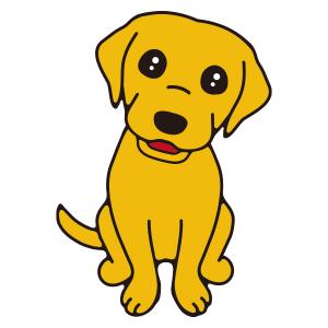 ラブラドール(イエロー)