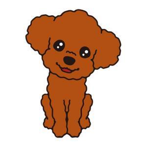 プードル(レッド)
