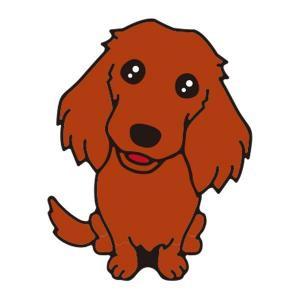 ダックス(レッド)