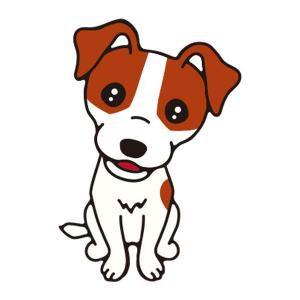 ジャックラッセル