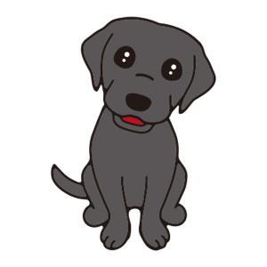 ラブラドール(ブラック)