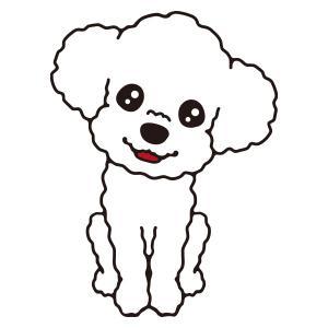 プードル(ホワイト)
