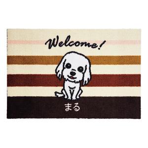 ブラウン・マルチーズ