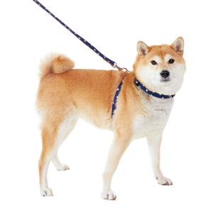 リード 犬用品 ペット用品の通販サイト ペピイ Peppy