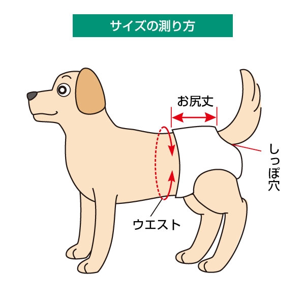 男の子用マナーおむつおしっこ用 排せつケア ペット用品の通販サイト ペピイ Peppy