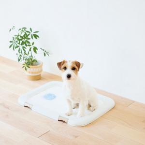 ピンポイント吸収で広がりにくいのでおしっこスタンプの心配なし。