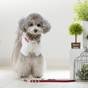 Toto & Pal(トトパル) ソフト足入れハーネス ネイビー・54-76 Toto & Pal(トトパル) ソフト足入れハーネス ネイビー・54-76