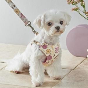Toto & Pal(�g�g�p���j�t�����[���t�B�b�g�n�[�l�X �s���N�E�r