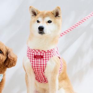 Toto��Pal�i�g�g�p���j�}���`�F�X�^�[�{�f�B�[�n�[�l�X �s�[�`�E�V��
