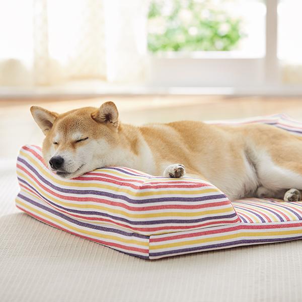 さわやかマリンスクエアソファー 犬用ベッド ペットベッド クッション ペット用品の通販サイト ペピイ Peppy