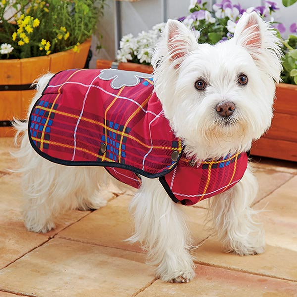 裏地付ハッピーレインコート レインコート マントタイプ ペット用品の通販サイト ペピイ Peppy