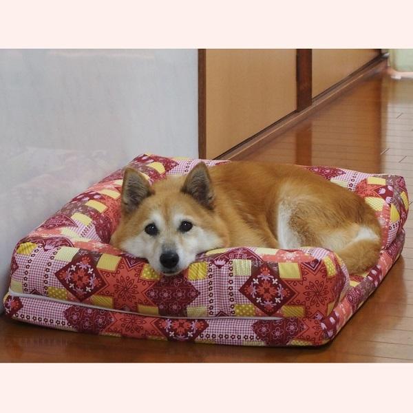 あごのせソファベッド 犬用ベッド ペットベッド クッション ペット用品の通販サイト ペピイ Peppy