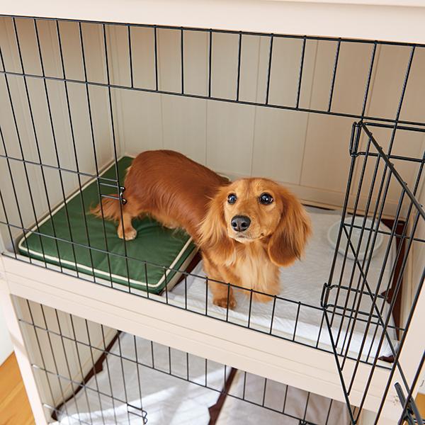 超可爱 ケージ 犬 2階建てウッディールーム ハウス Peppy ペピイ ペット 小型犬 省スペース 多頭 サークル ケージ ゲート 犬小屋 Revuemusicaleoicrm Org