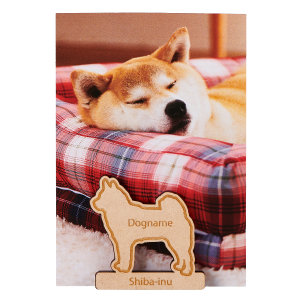 ネーム入り ペアマグネット 柴犬