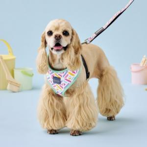 yFuzzYardzt@Y[h \tgn[lX sNl[hEwk