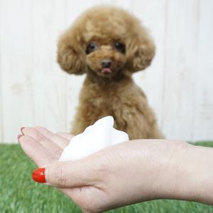 ふわふわもちもちの泡♪