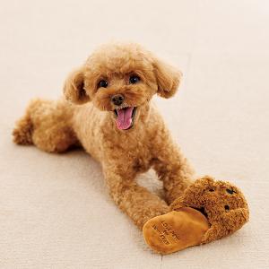 わんこのおもちゃ スリッパ シュナウザー わんこのおもちゃ スリッパ シュナウザー
