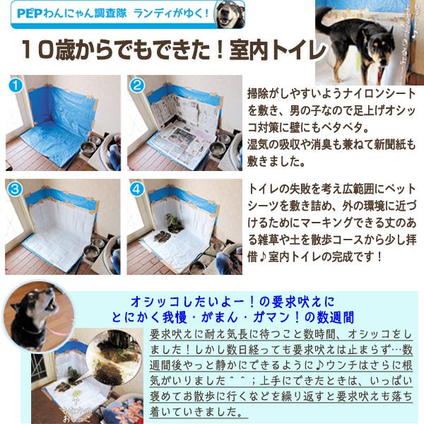 しつけるシーツ幼犬用ｎｅｏ トイレトレーニング ペット用品の通販サイト ペピイ Peppy