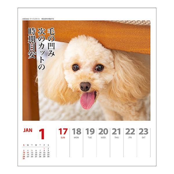 犬川柳カレンダー 週めくり ２０２１ カレンダー ペット用品の通販サイト ペピイ Peppy