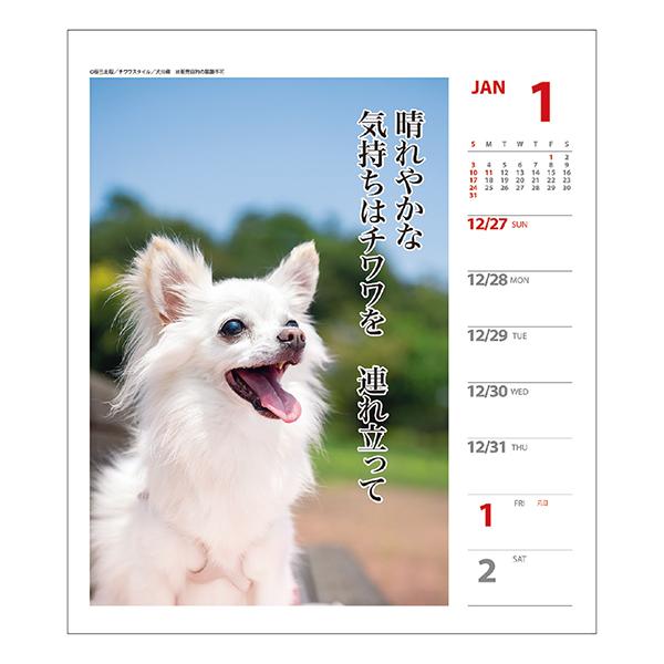 犬川柳カレンダー 週めくり ２０２１ カレンダー ペット用品の通販サイト ペピイ Peppy