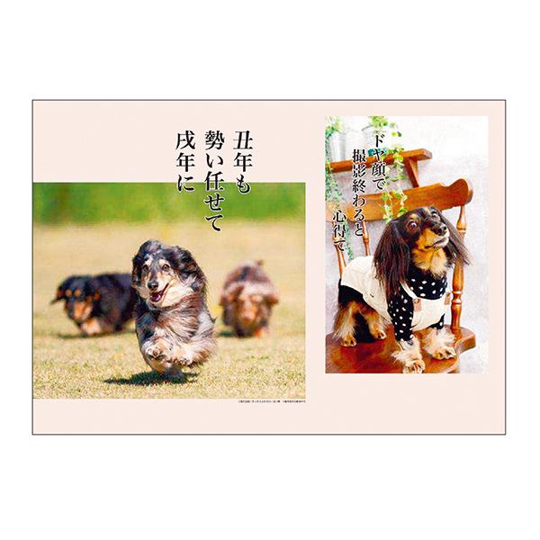 犬川柳カレンダー 月めくり ２０２１ カレンダー ペット用品の通販サイト ペピイ Peppy